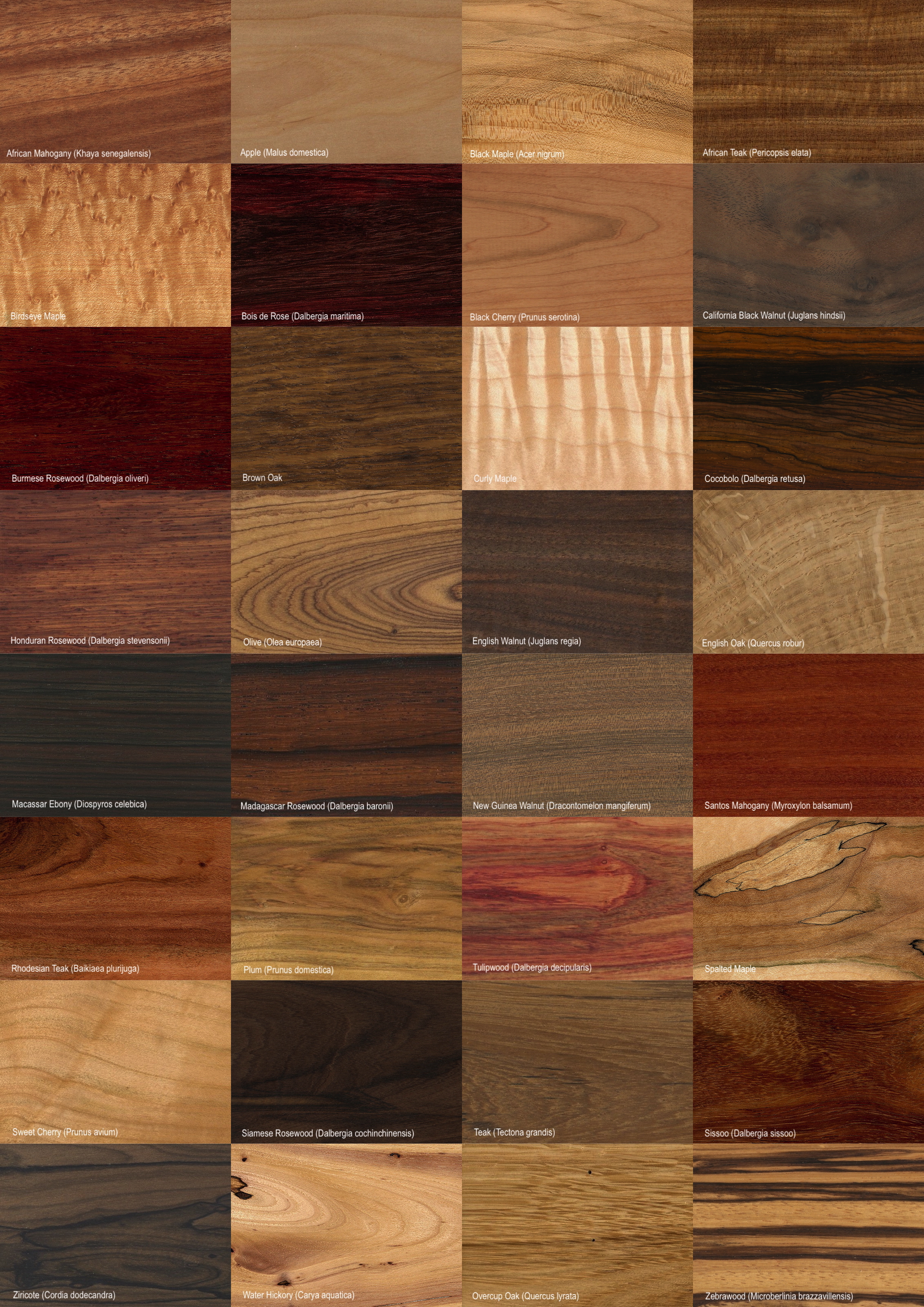 wood types.jpg