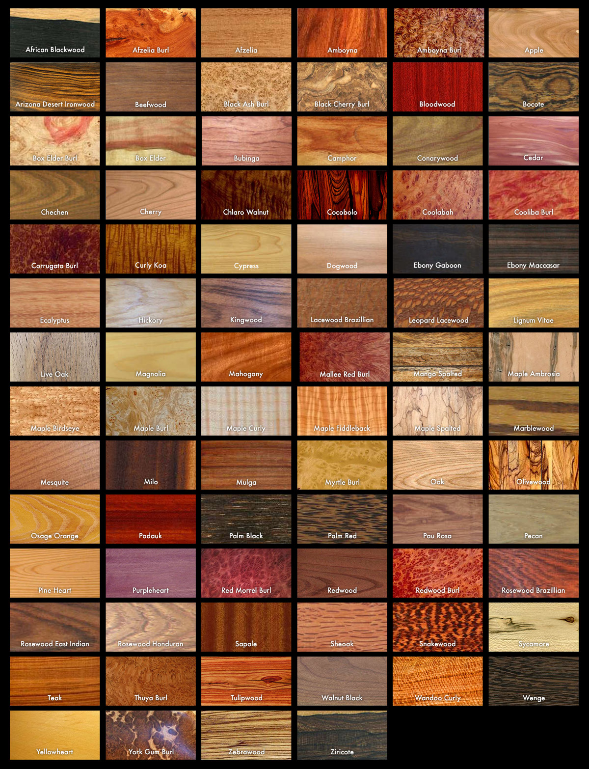 wood samples.jpg